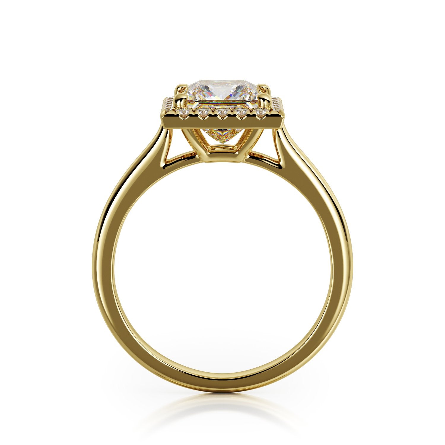 Halo Rounded Band Natural Princess Cut Diamond Engagement Ring